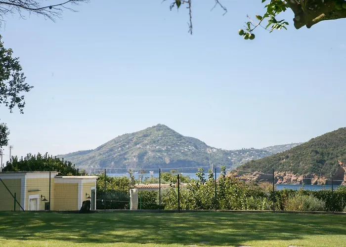 Il Carrubo * Procida