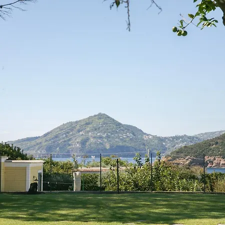 Il Carrubo * Procida